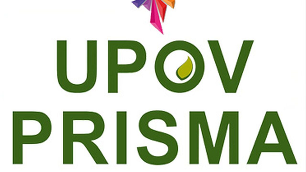 Digital Transformation in Plant Breeders’ Rights: UPOV PRISMA