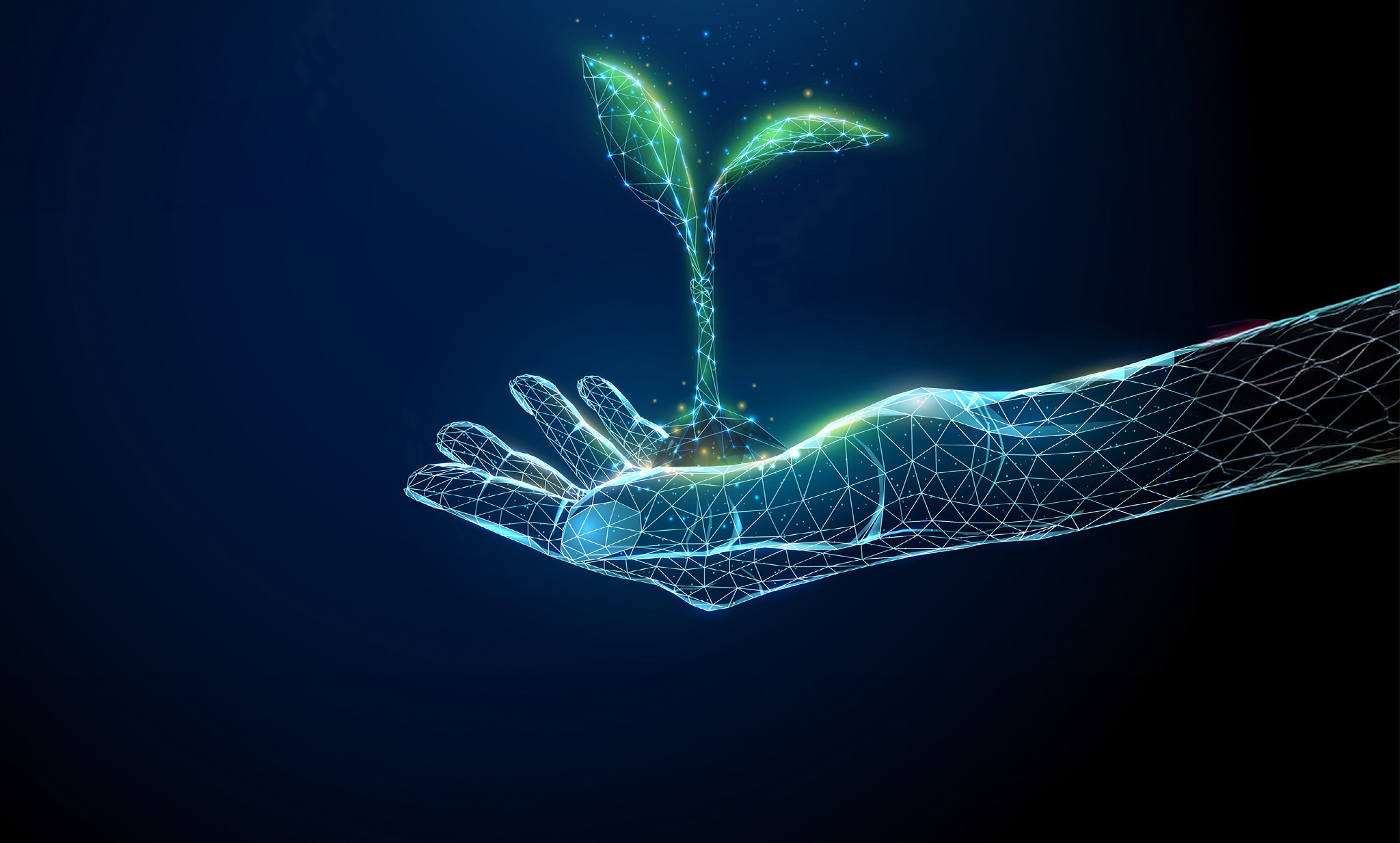 PLANT VARIETIES